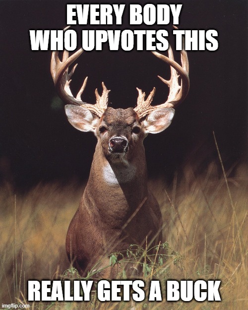 buck deer Imgflip