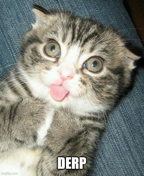 DERP FACE Imgflip
