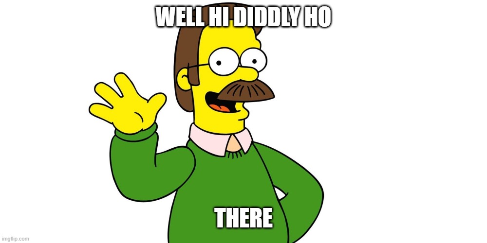 ned flanders Imgflip