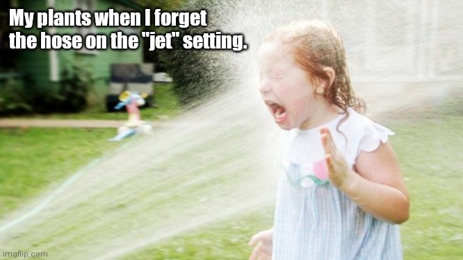 Drinking from a fire hose Imgflip