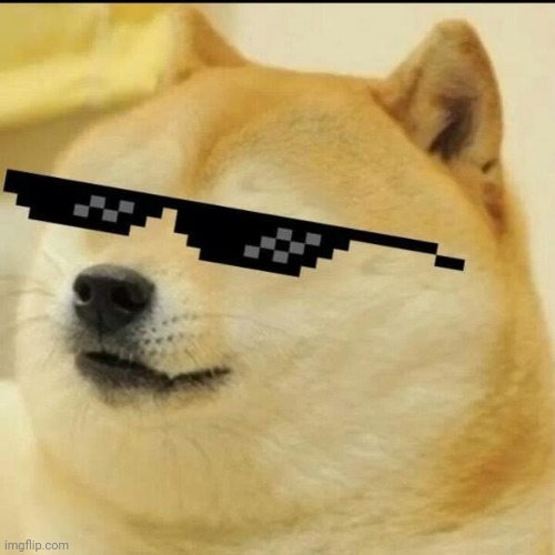 Sunglass Doge Imgflip