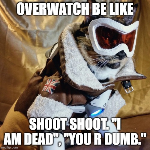 Overwatch cat Imgflip