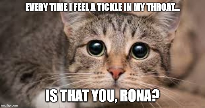 Is that you, Rona? Imgflip
