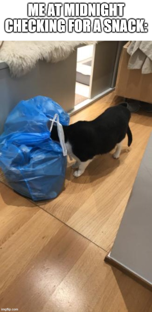 anything in here Imgflip