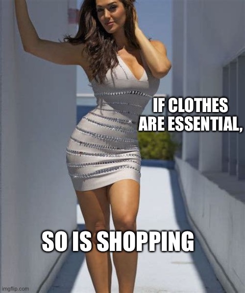 Shopping is essential Imgflip