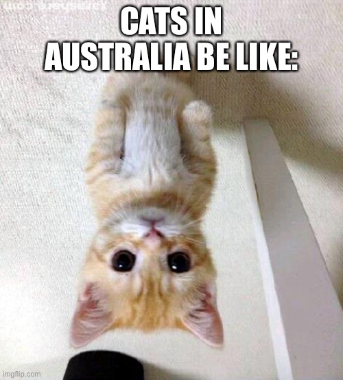 Australia Imgflip