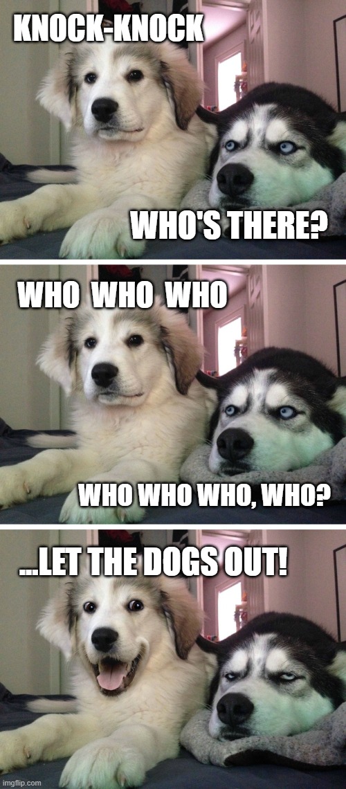 Yes, I *did* write this joke Imgflip