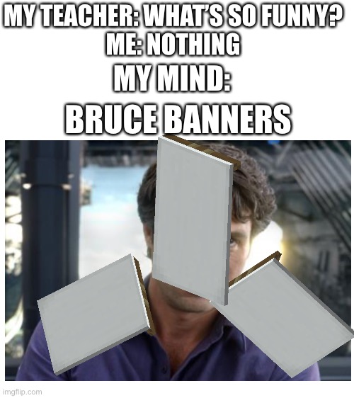 Bruce banners Imgflip