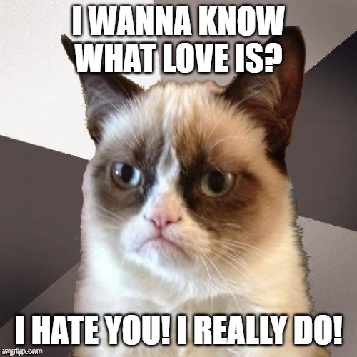 Musically Malicious Grumpy Cat Imgflip