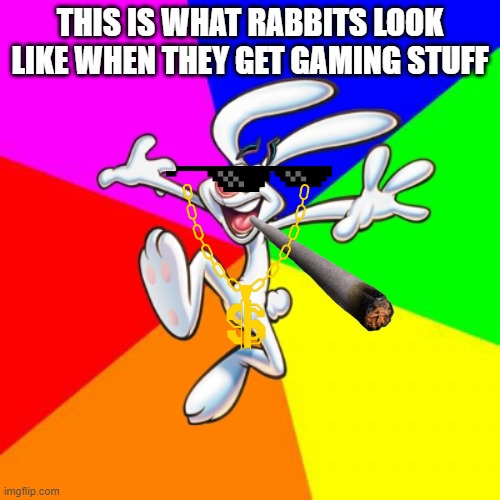 meme Imgflip