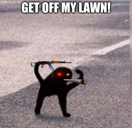 Cursed Cat Imgflip