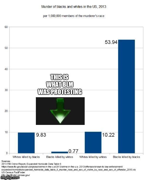 to Minnesota Imgflip