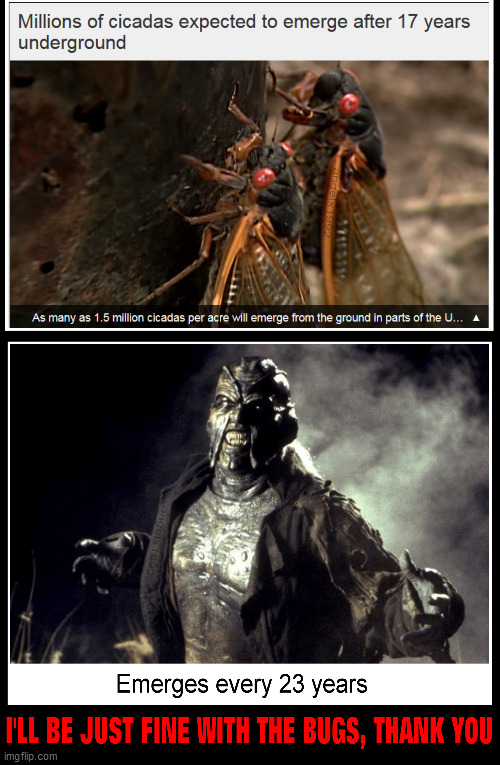 Image tagged in cicadas,bugs,jeepers creepers,insects,creeper,horror