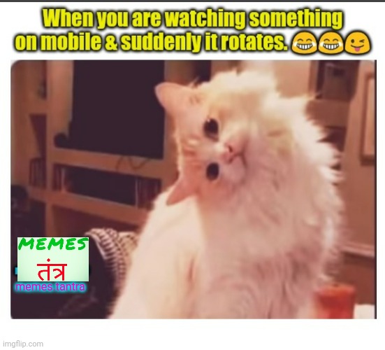 Image tagged in funny Imgflip