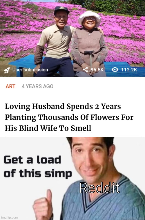The word 'simp' > having no meaning