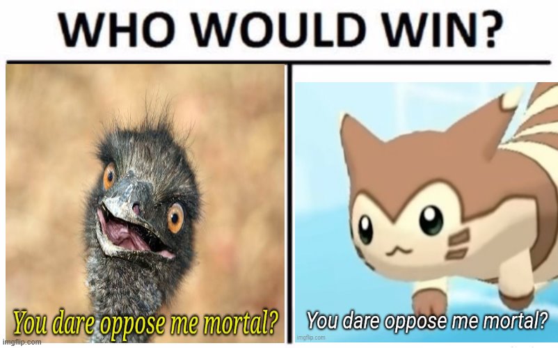Who Would Win? Meme Imgflip