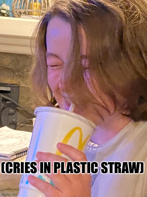 Image tagged in comedy,plastic straws,funny memes,stupidity,random