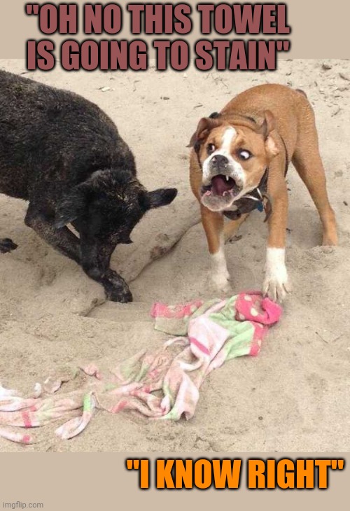 DON'T TOUCH HIS TOWEL Imgflip