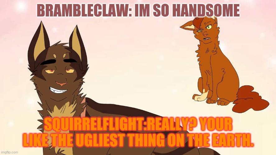 WARRIOR CATS Imgflip