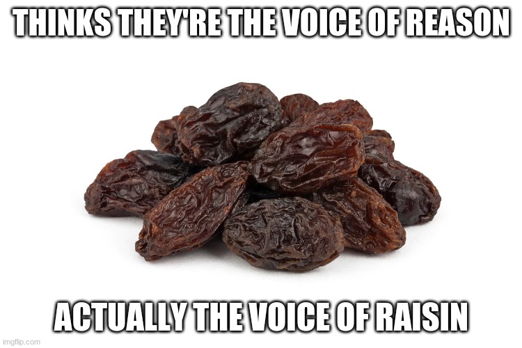 Voice of Raisin Imgflip