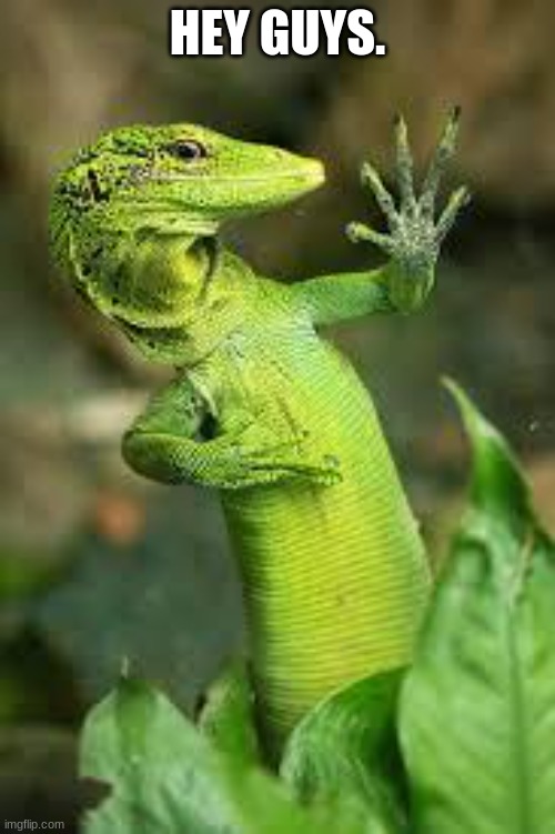 lizard Imgflip