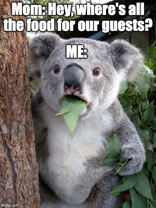 koala Memes & GIFs Imgflip