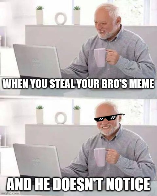 Stealing Stuff Meme