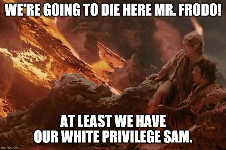 Sam and Frodo oppressing the minorities one ring at a time. Imgflip