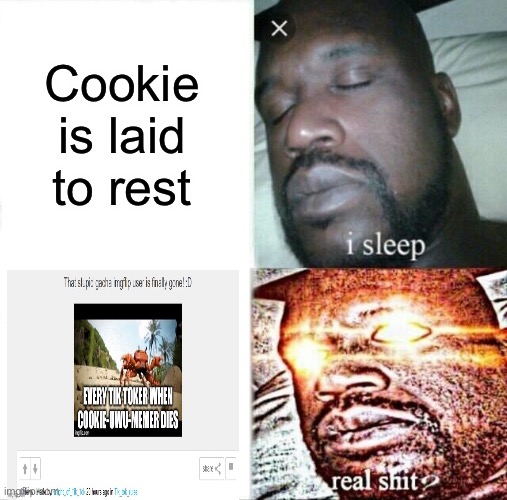 go go go to the tik_tok_rules stream Imgflip