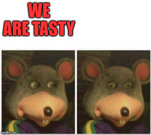 Image tagged in cats Imgflip