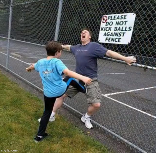 Image tagged in fence,balls Imgflip