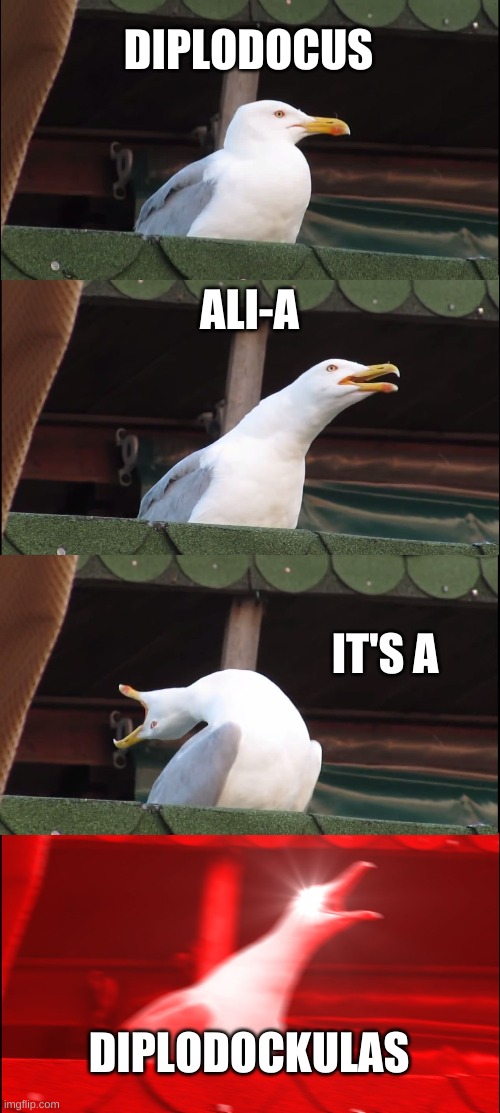 AliA's best meme Imgflip
