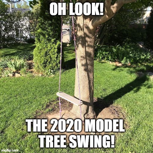 2020 Tree Swing Imgflip