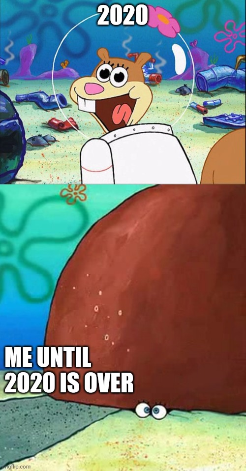 2020 mood Imgflip