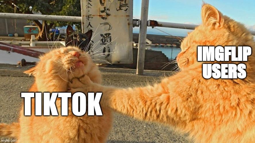 debunking tiktok Imgflip