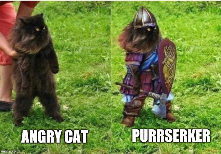 Purrserker Imgflip