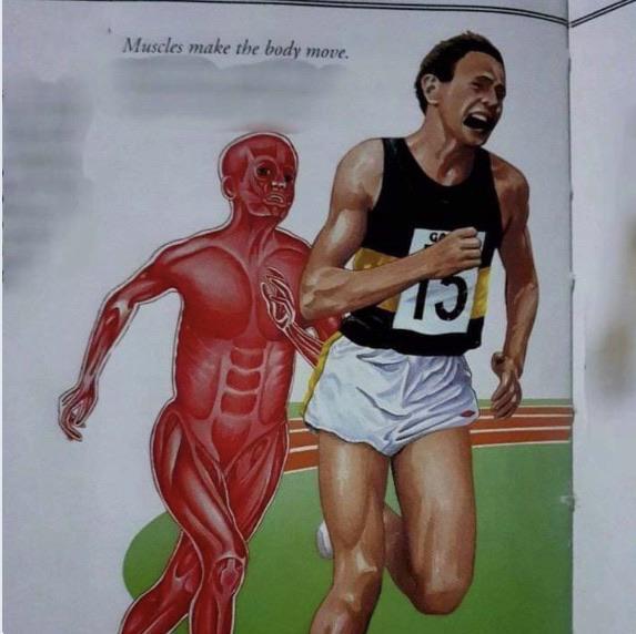 Muscles make the body move Blank Template Imgflip