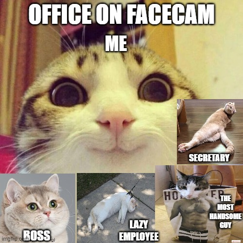 Smiling Cat Meme Imgflip