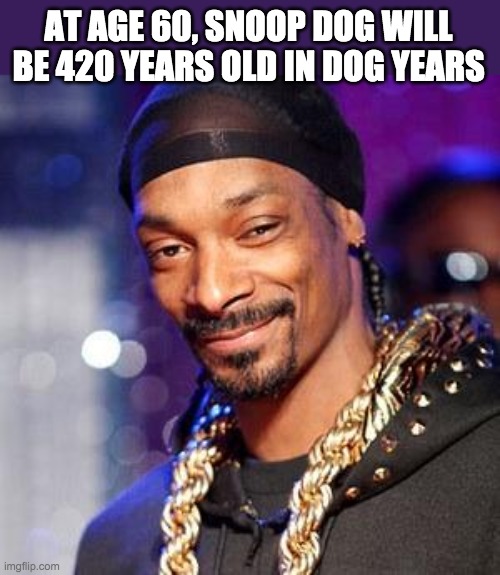 Albums 98+ Images Dogs In A Blanket Snoop Dogg Updated