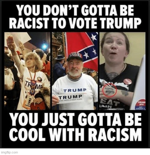 Are you disgusted with the media's race baiting? (Congress, solution
