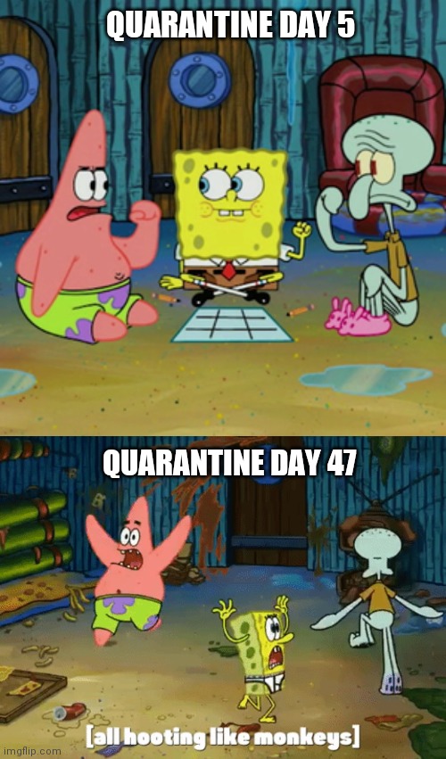 Quarantine Life Imgflip