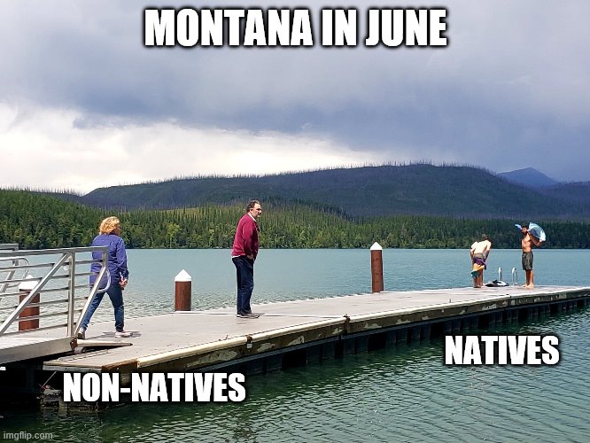 Montana Imgflip