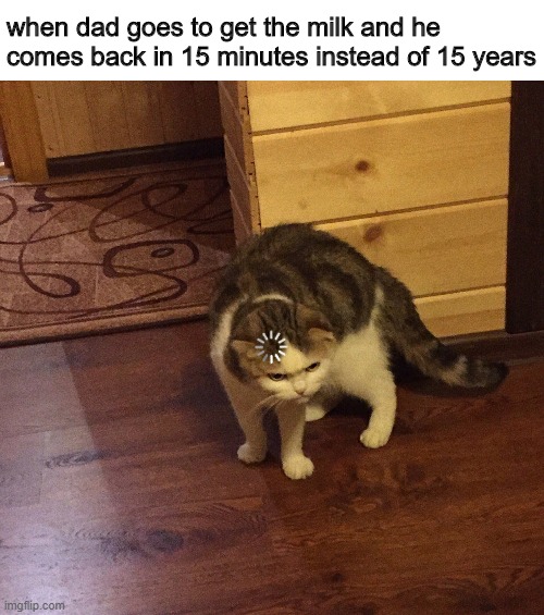 buffering cat Imgflip