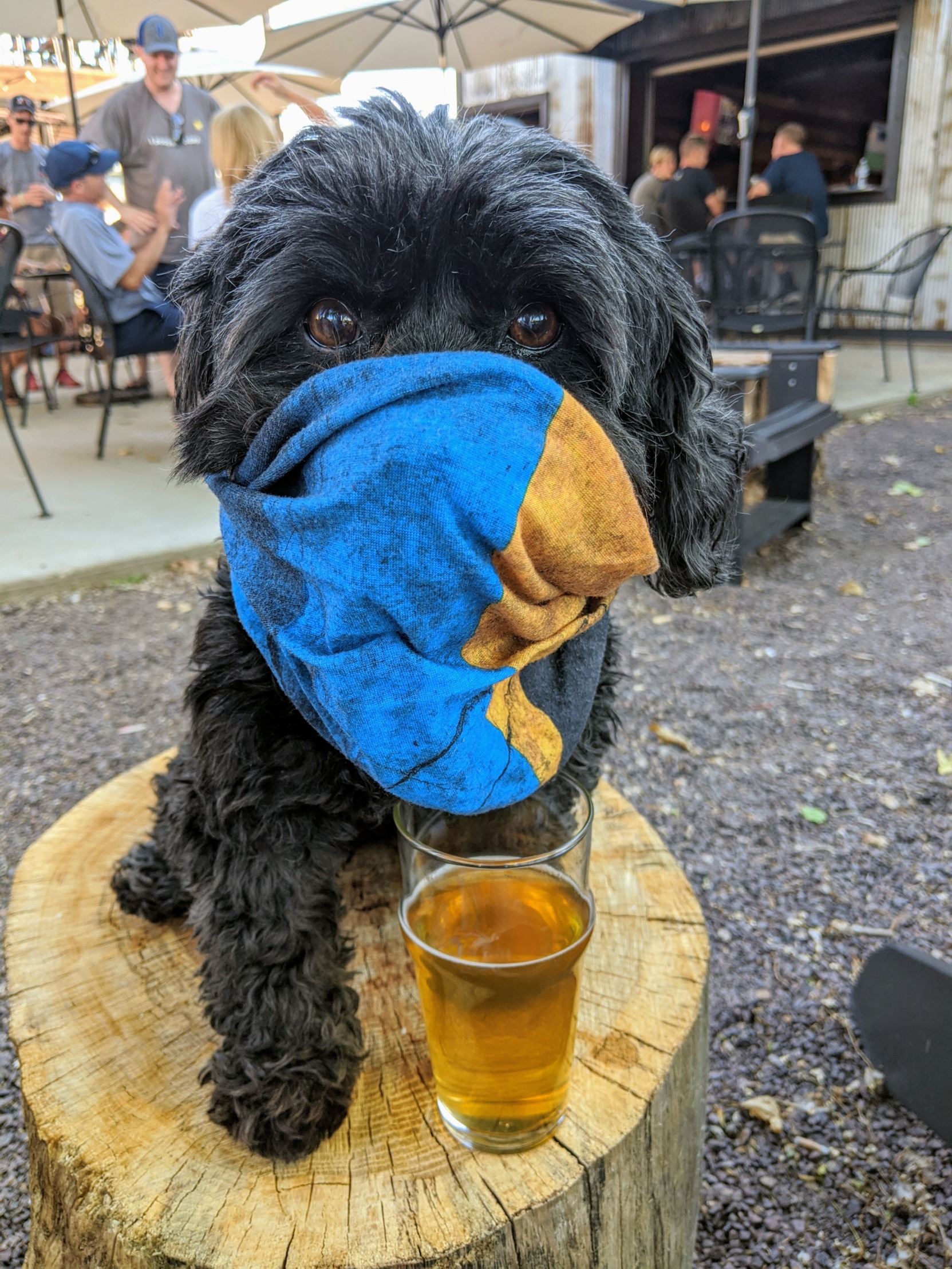 Practicing safe beer gardening. Blank Template Imgflip