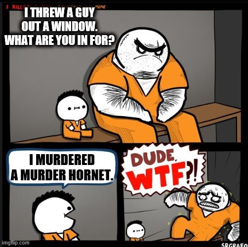 Srgrafo dude wtf Imgflip