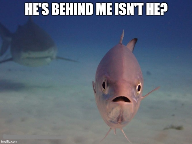 hes behind me isn't he? Imgflip