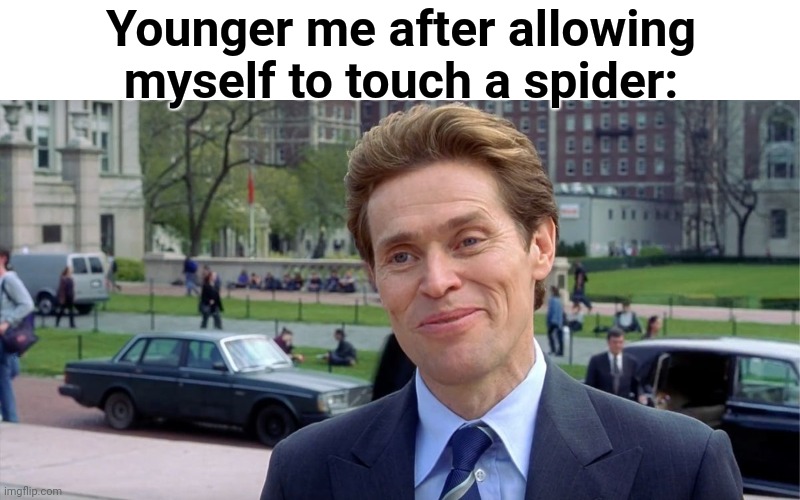 I used to be afraid, but now I'm not afraid... of house spiders Imgflip