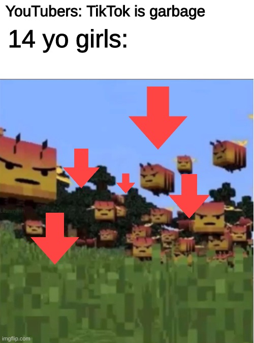 tik tok Memes & GIFs Imgflip
