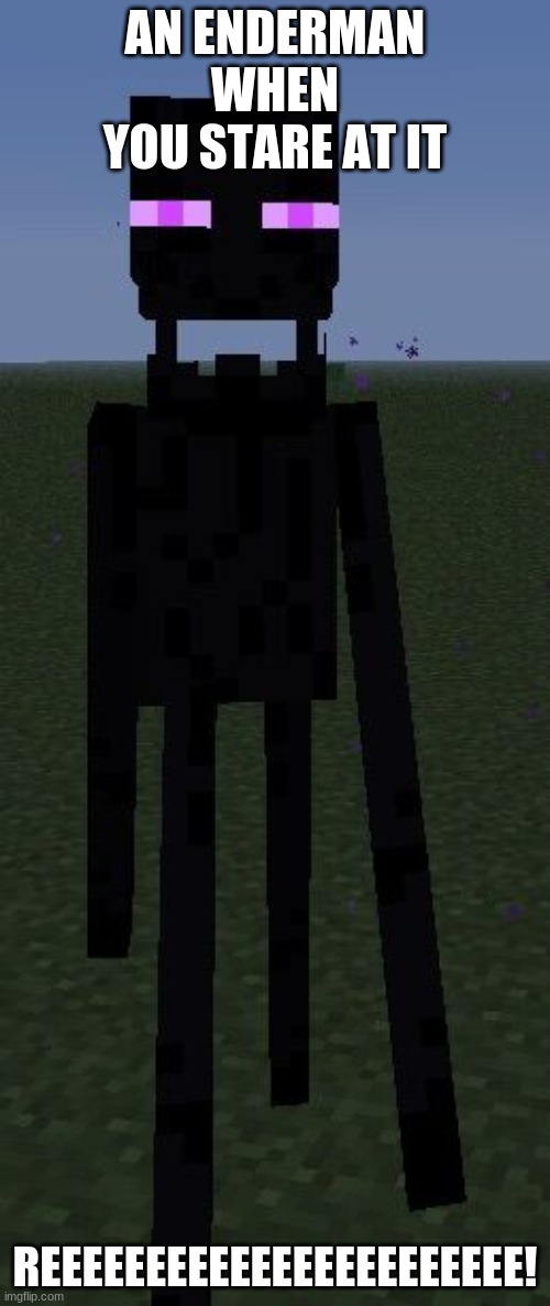 Reeing enderman Imgflip