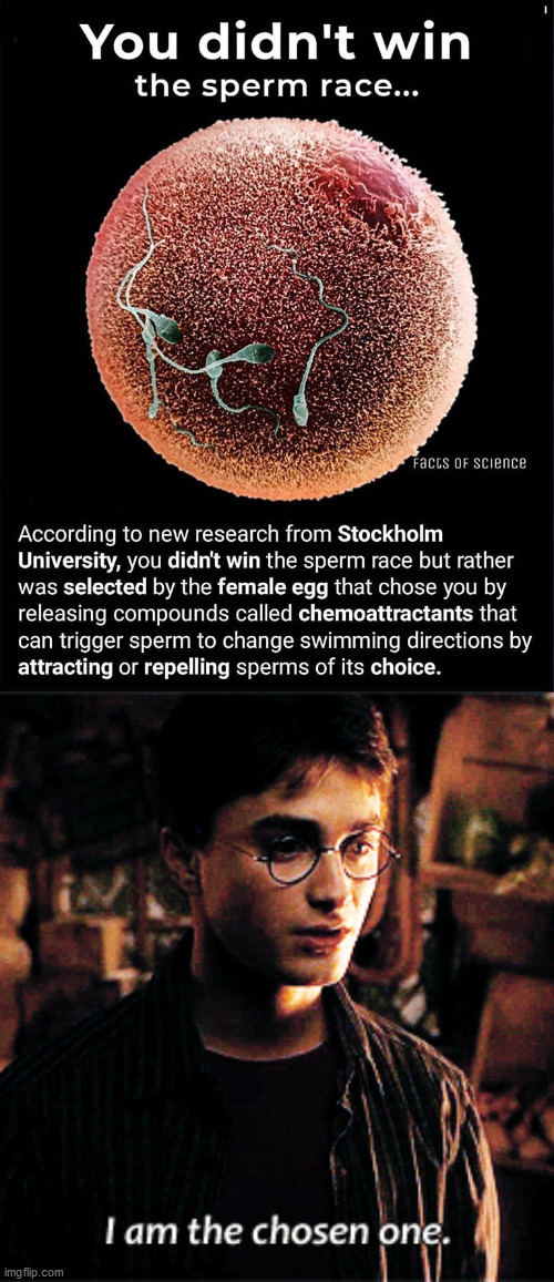 My whole life was a lie Imgflip